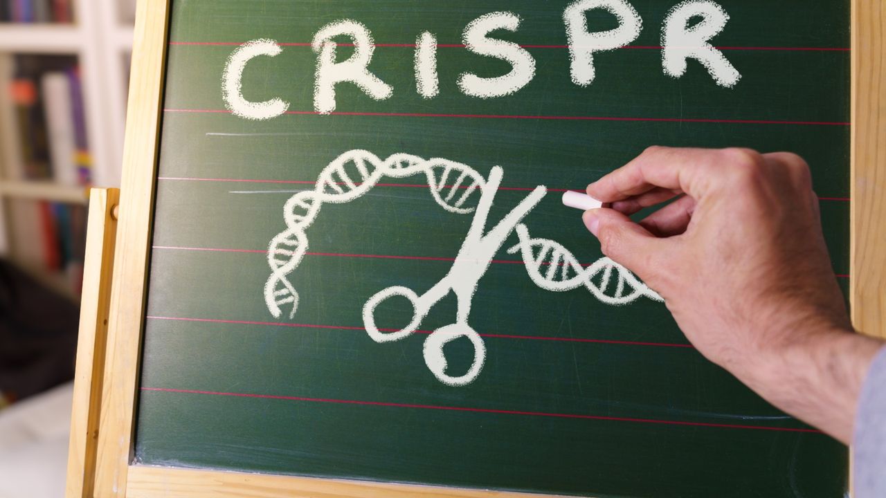 'This is a big problem’ The CRISPR controversy and the ‘mess’ at the
