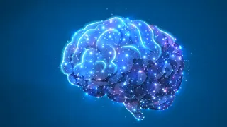 Brain disorder medtech rivals butt heads at ITC