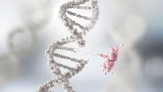 Scientist jumps from Jones Day to expand rival’s biotech offering