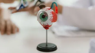 Biotech cleared to make biosimilar of $6bn treatment after landmark ruling