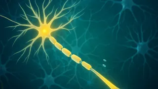 Is Hatch-Waxman litigation for orphan drugs working?