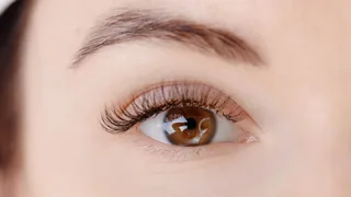 Sandoz wins Fed Circ  reversal of $39m hair loss patent verdict 