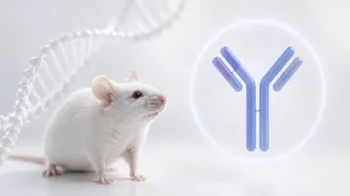 Amgen and subsidiary dealt $20m blow over rodent antibody tech