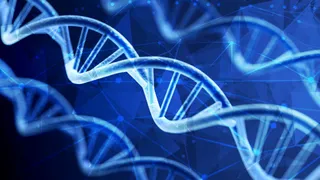 Court upholds $83m sequencing verdict and sets royalty rate