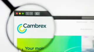 Non-profit sues Cambrex over anticancer drug manufacturing trade secrets