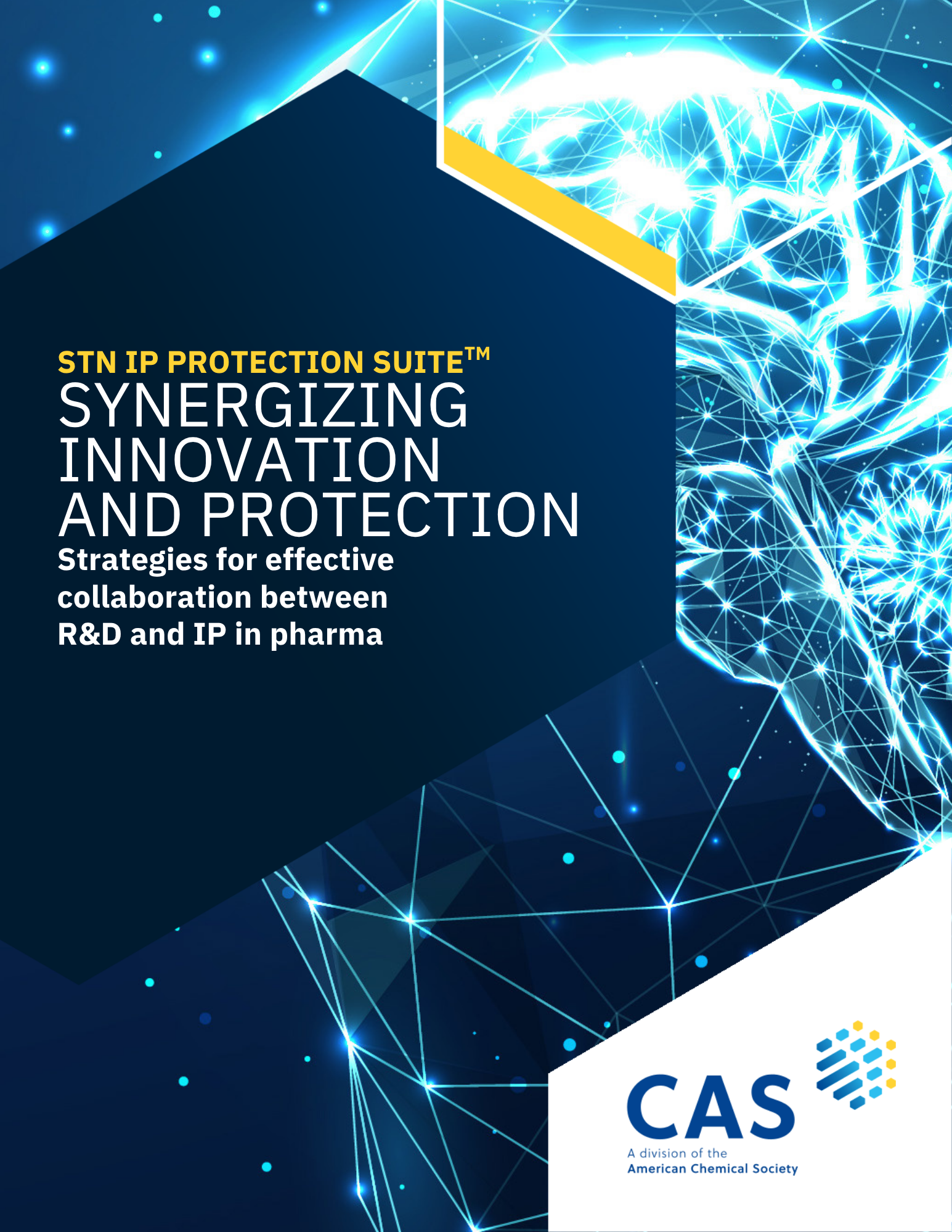 Synergizing Innovation and Protection